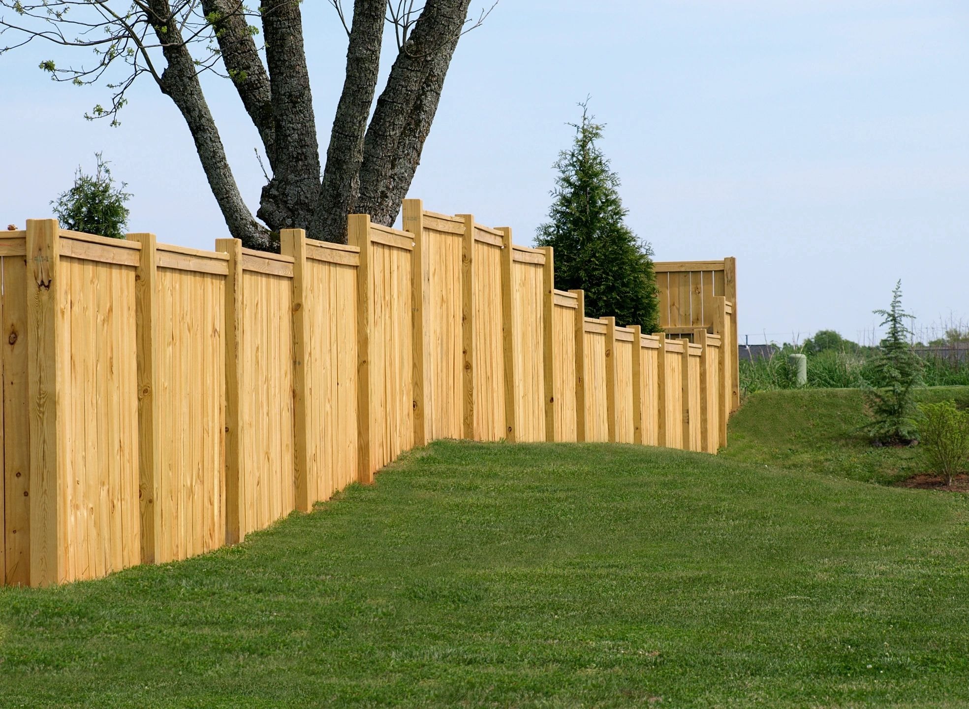 Cedar / Iron Fencing