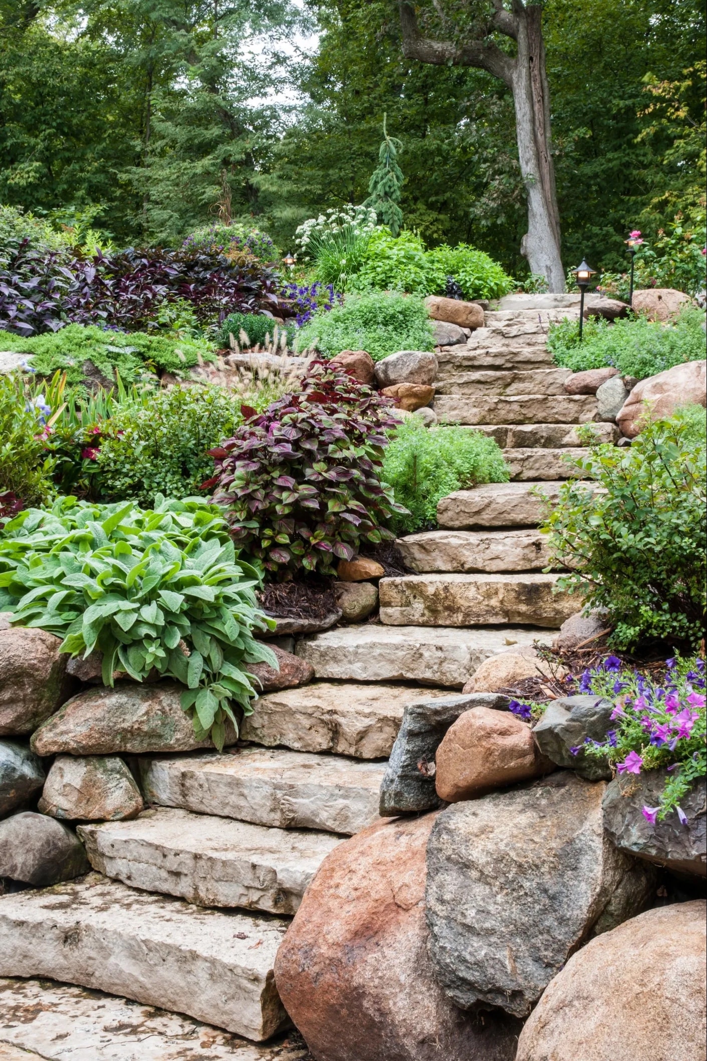 Gravel garden path with stepping stones